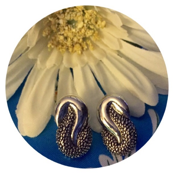 Jewelry - 😎Snazzy Silvertone Earrings